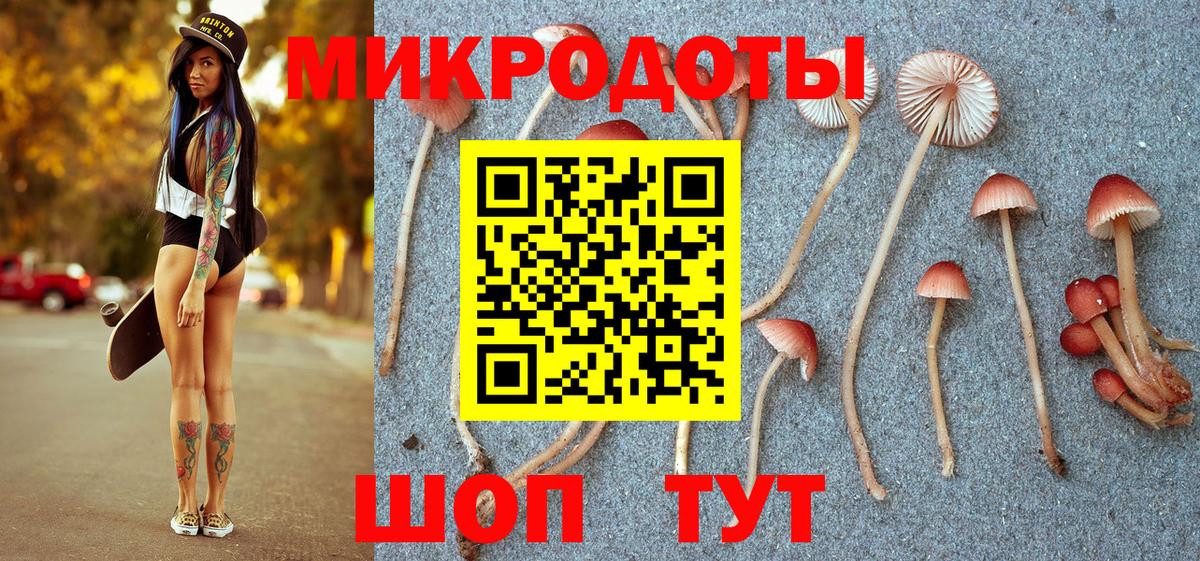 Галлюциногенные грибы прущие грибы Апатиты