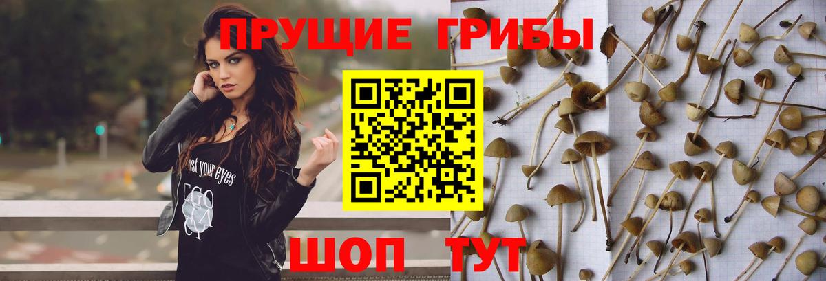 Псилоцибиновые грибы Magic Shrooms  Галлюциногенные грибы мицелий  Вход с VPN  Апатиты 